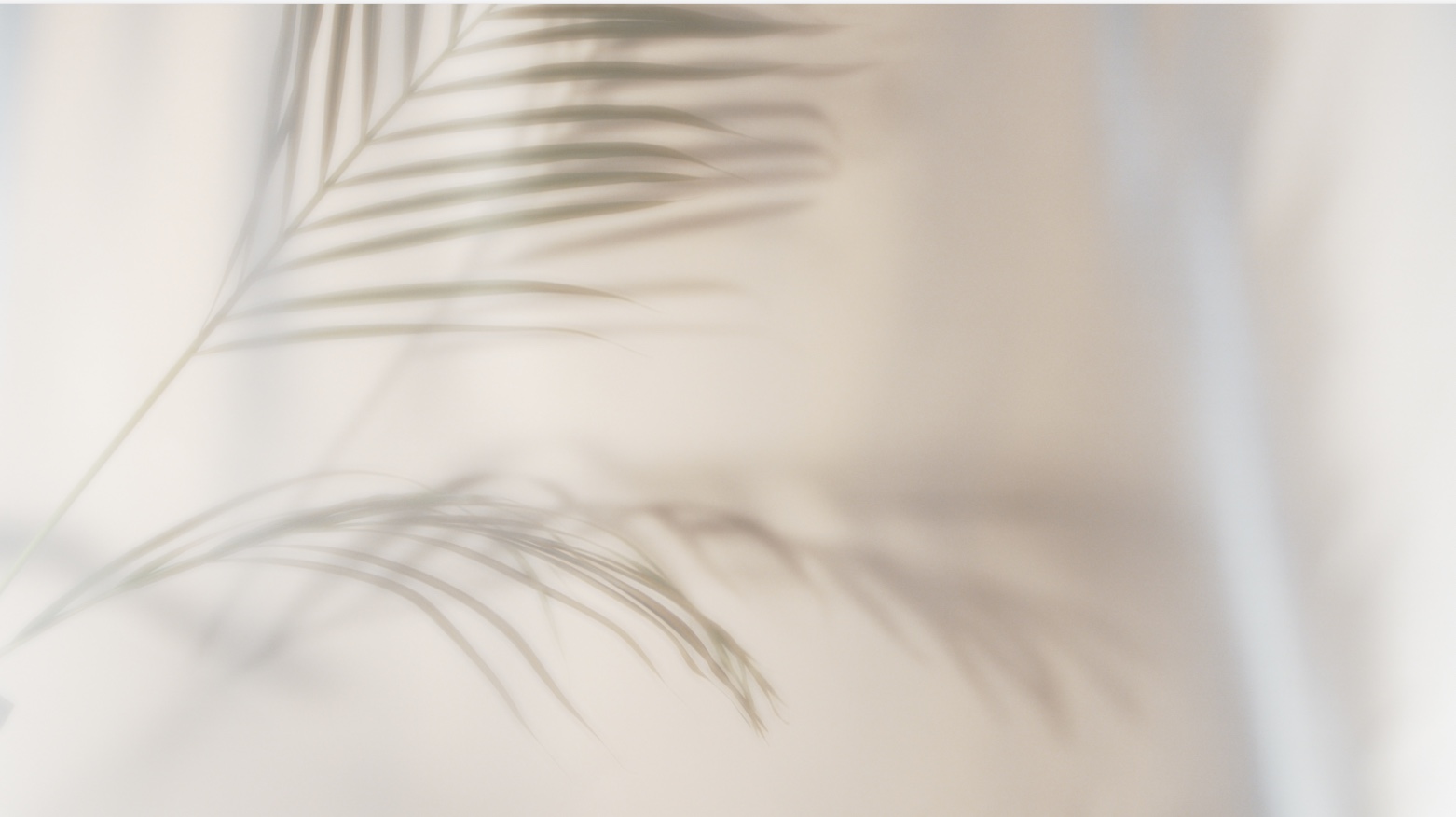 Sanftes Naturmotiv mit Palmenschatten in warmen Tönen